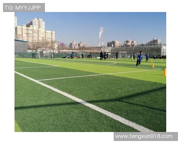 心愿足球员：追逐梦想的绿茵场上奋斗与成长的故事