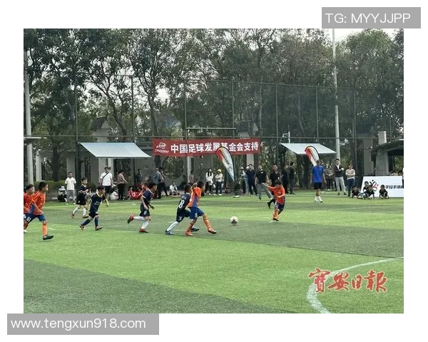 巴东足球协会积极推动青少年足球发展助力地方体育事业腾飞 巴东足球协会积极推动青少年足球发展助力地方体育事业腾飞